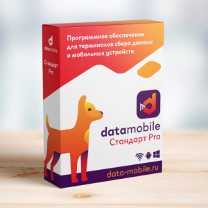 DataMobile, Upgrade 2.9 -> 3.0 Online